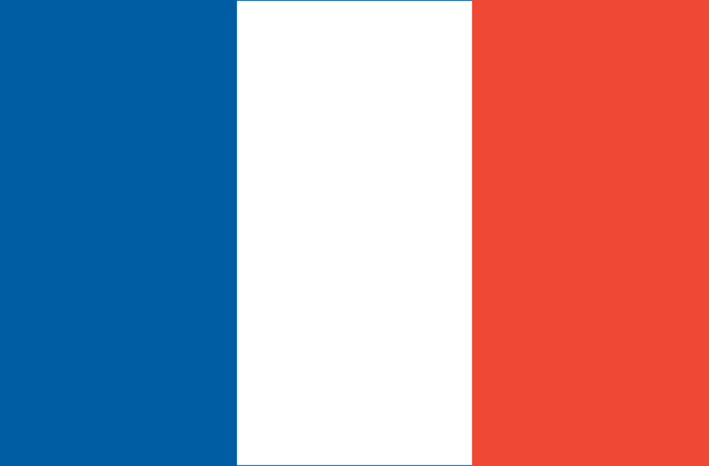 national flag of france. house France national flag