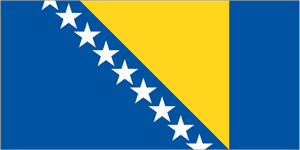 Bosnia and Herzegovina Flag