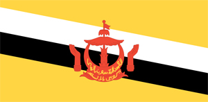 Brunei Flag