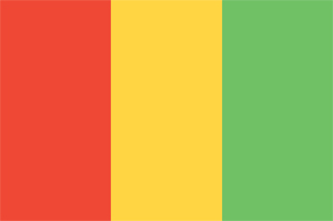 Guinea Flag