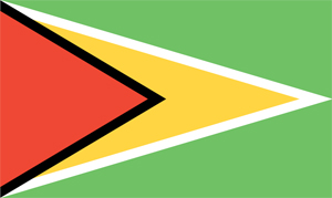 Guyana Flag
