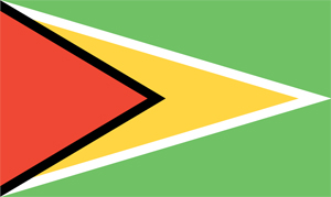 Guyana Flag