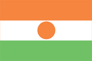 Niger Flag