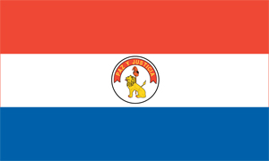 Paraguay Flag Reverse Side