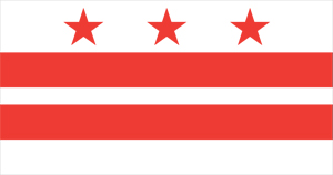 Washington DC Flag