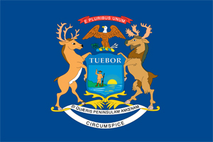 Michigan Flag