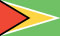 Guyana Flag