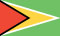 Guyana Flag