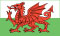 Wales Flag UK